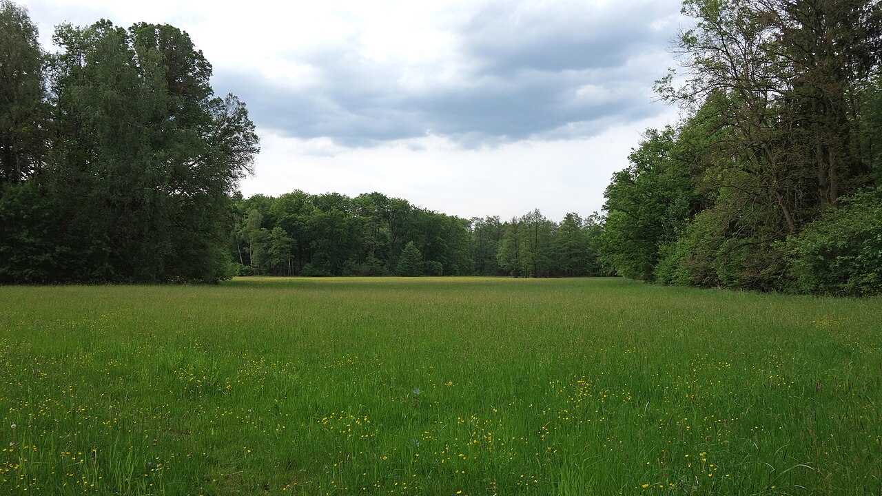Großer und kleiner Bruch, Roßdorf(Darmstadt), Blick Richtung Norden vom Südzipfel aus