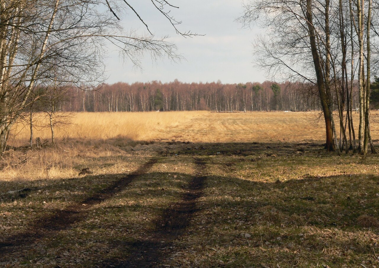 Grosses Moor bei Gifhorn