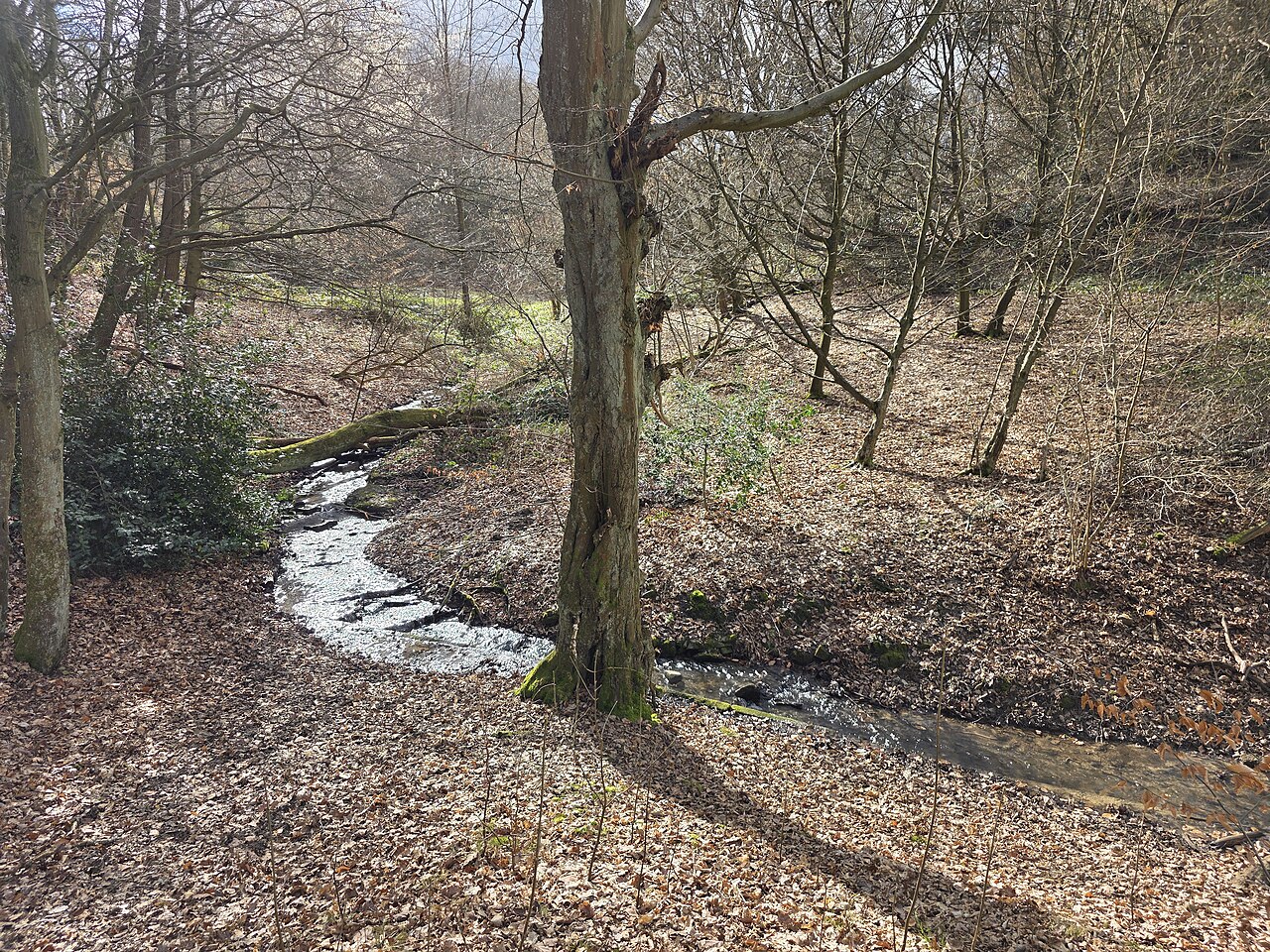 Naturschutzgebiet Großholthauser Mark