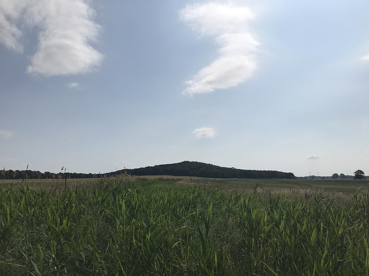 Blick auf den Großmachnower Weinberg, ein Naturschutzgebiet in Rangsdorf in Brandenburg