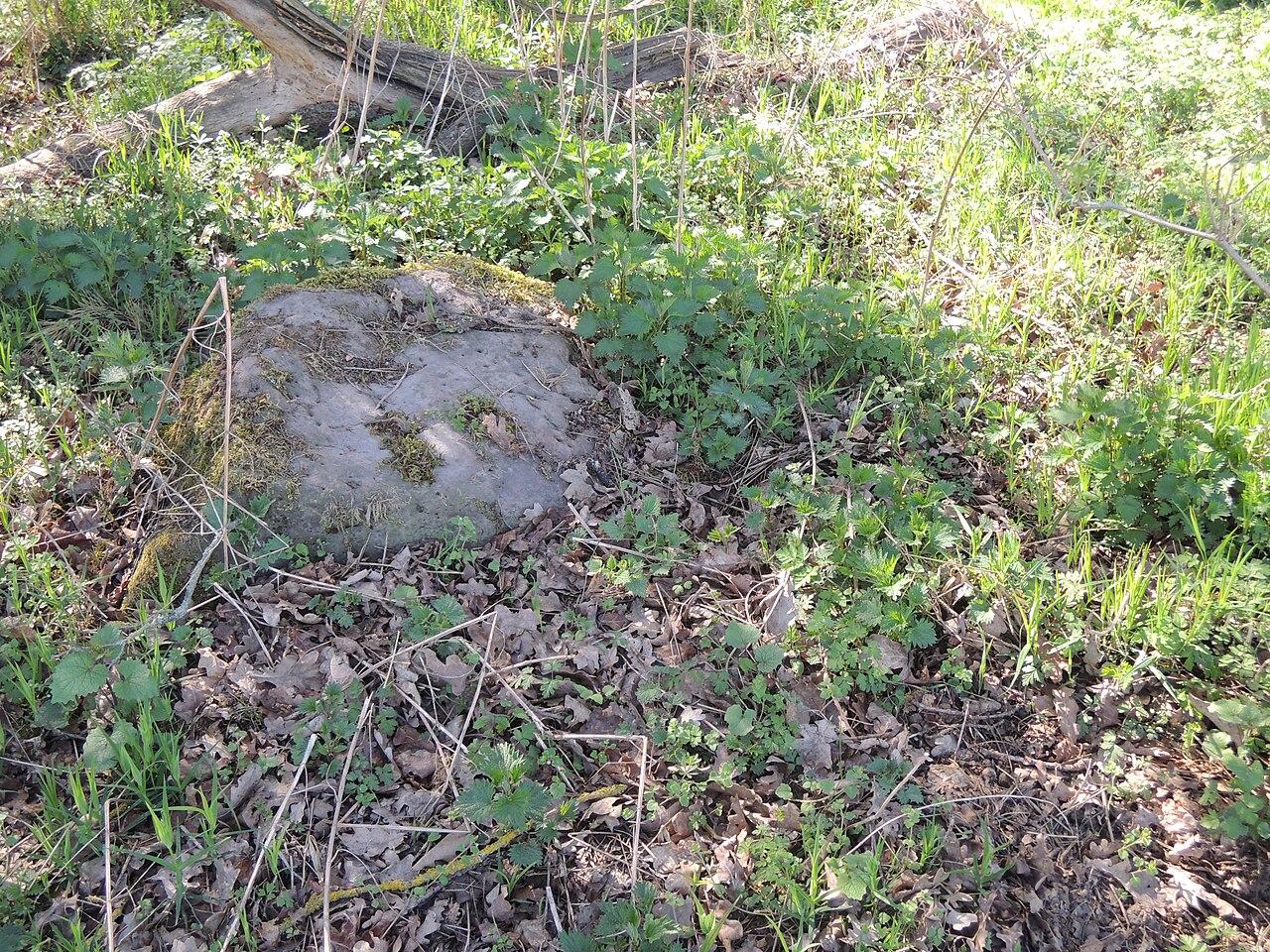 Remains of the megalithic tomb 111 in Haldensleber Forst