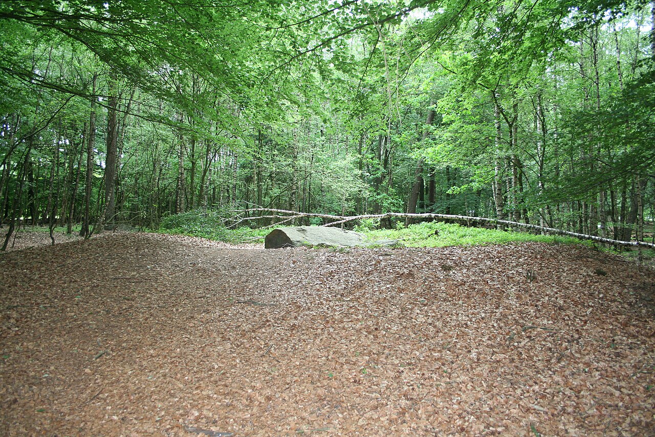 Megalithic tomb “Visbeker Bräutigam” (Sprockhoff-No