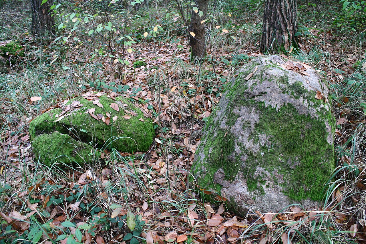 Megalithic tomb Haldensleben II 11