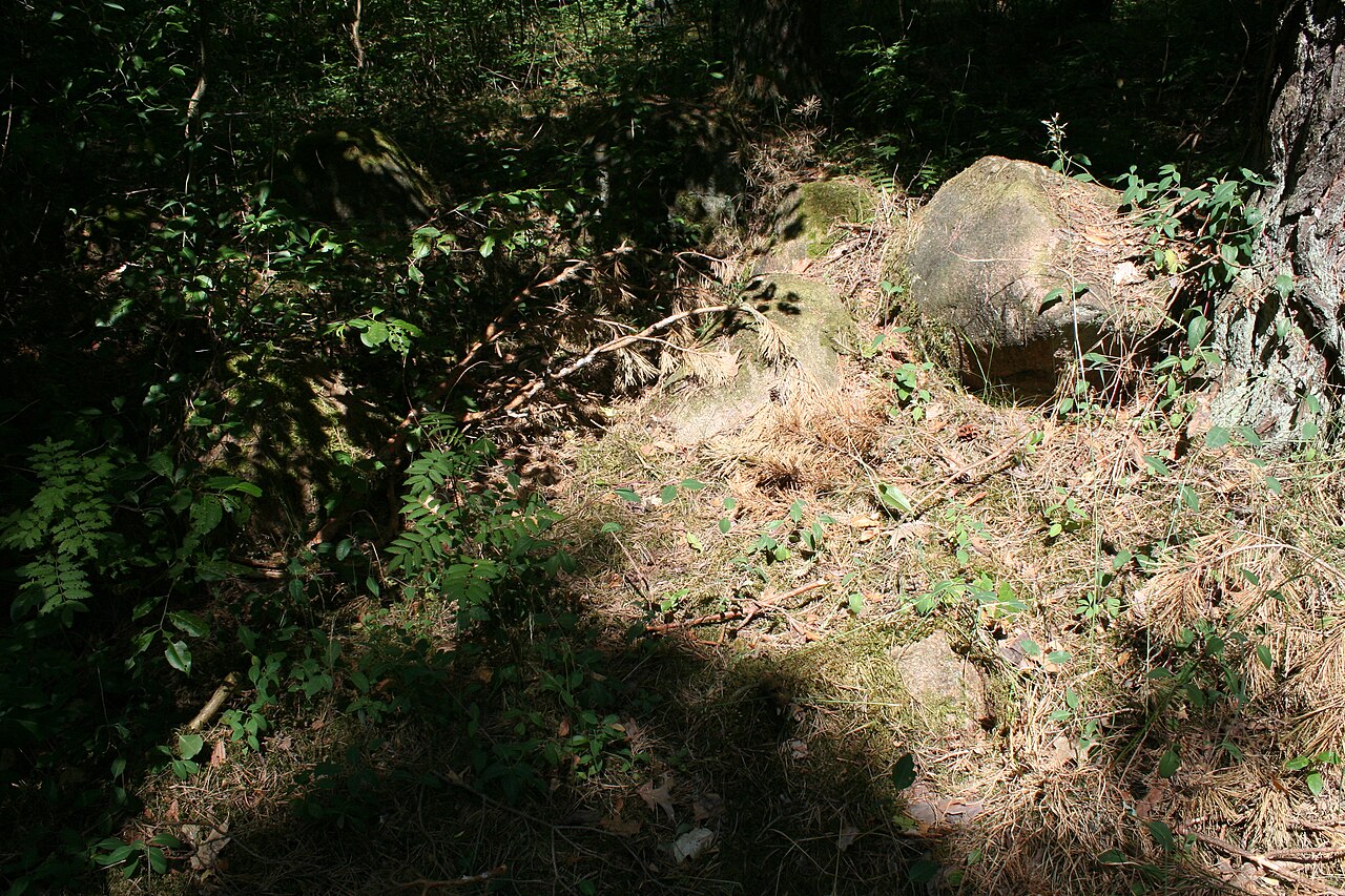 Megalithic tomb Haldensleben II 16