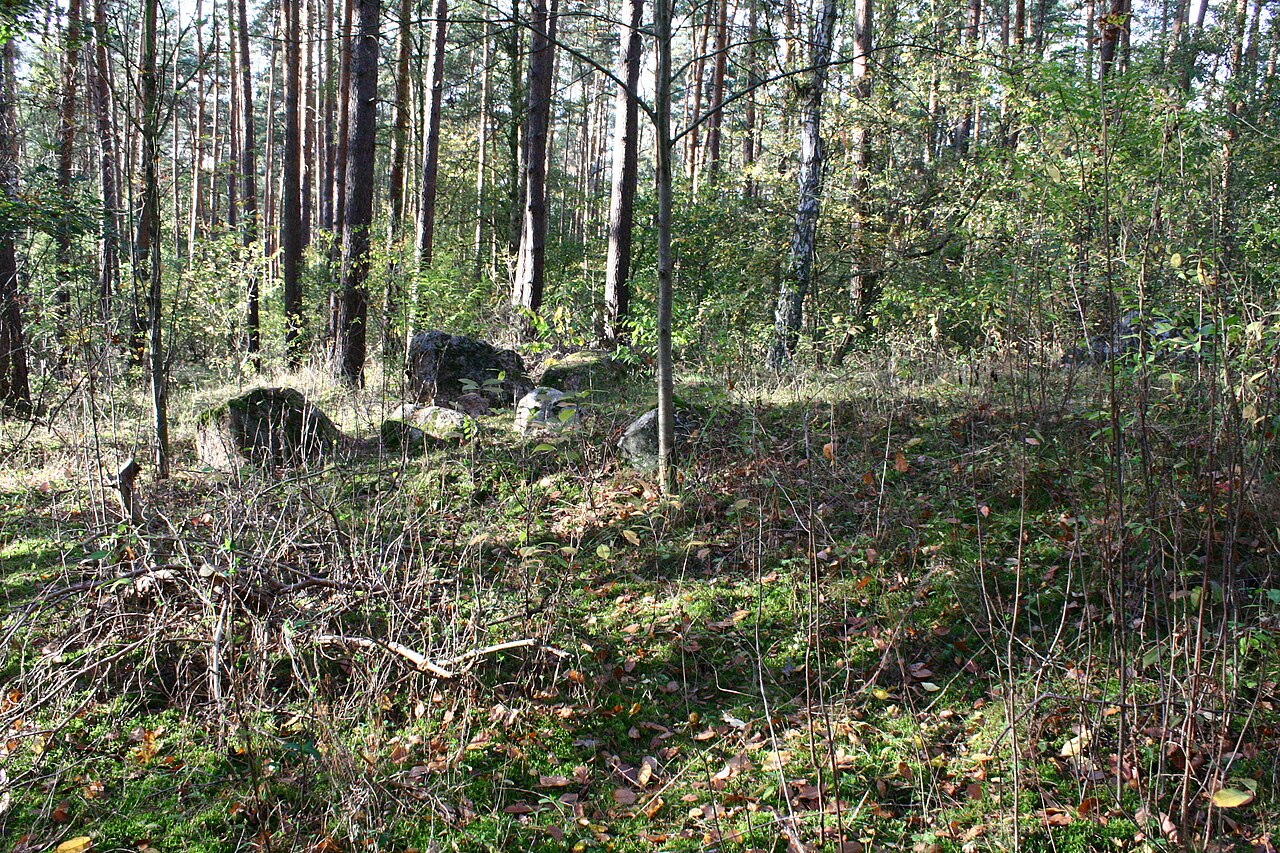 Megalithic tomb Haldensleben II 19