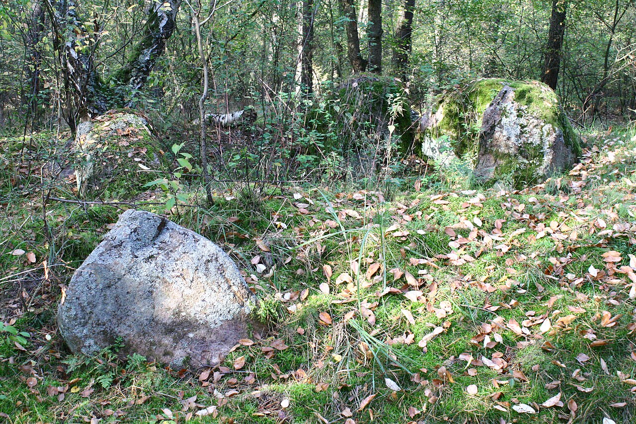Megalithic tomb Haldensleben II 20