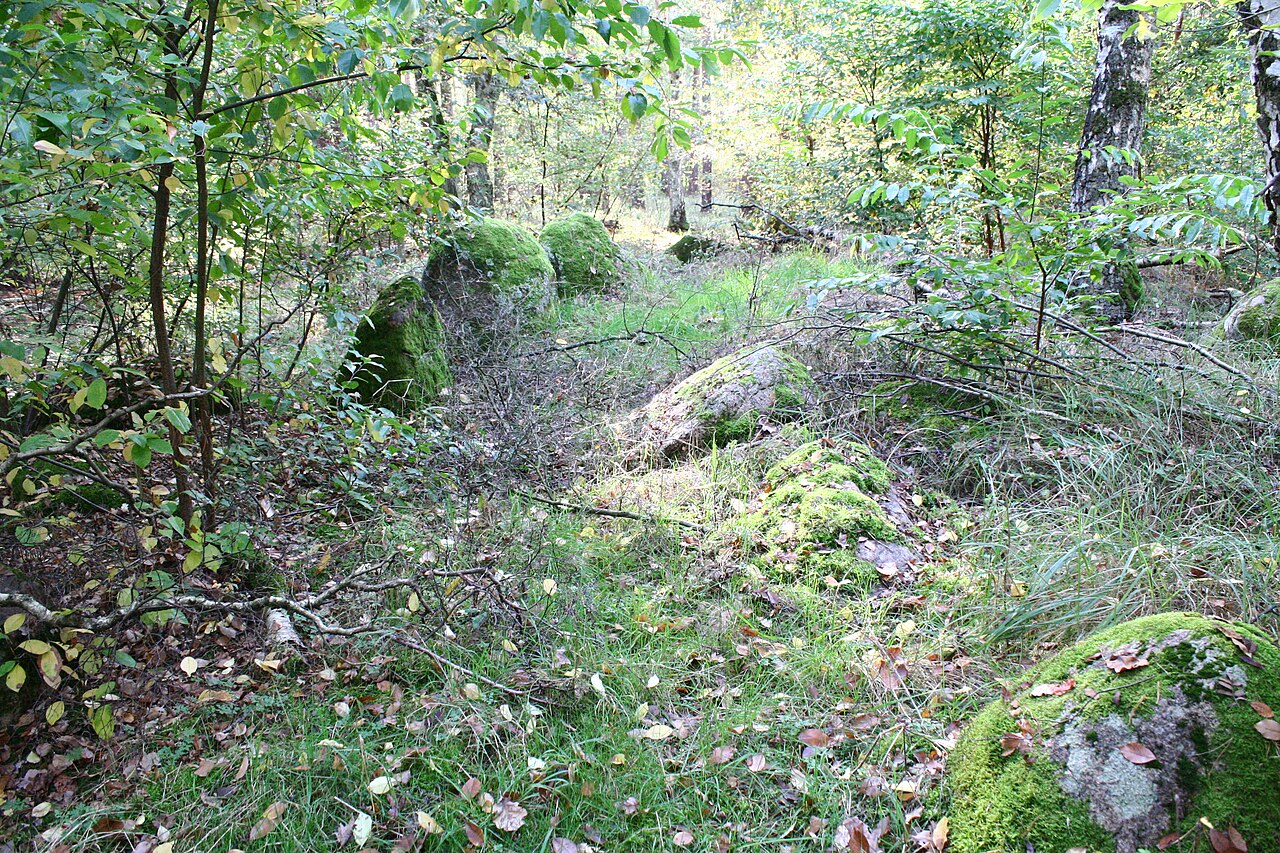 Megalithic tomb Haldensleben II 21