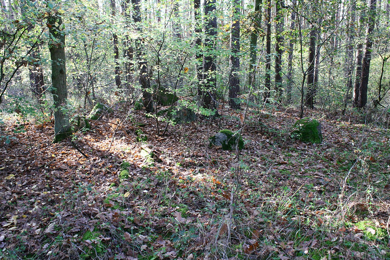 Megalithic tomb Haldensleben II 23