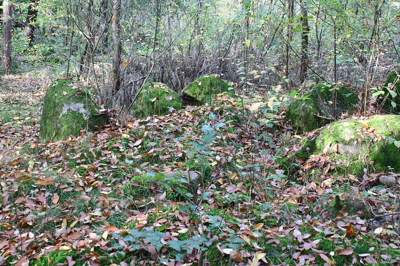 Megalithic tomb Haldensleben II 24