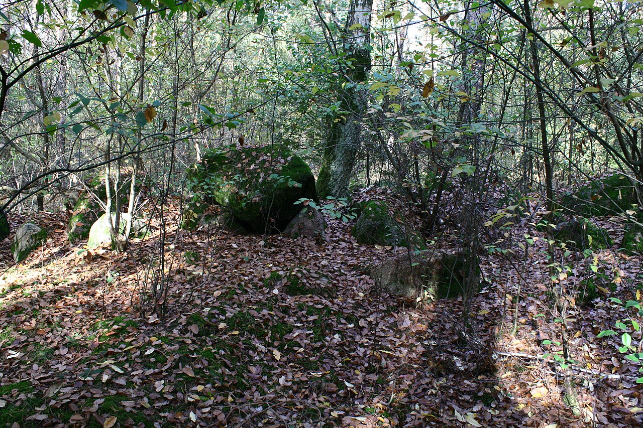 Megalithic tomb Haldensleben II 25