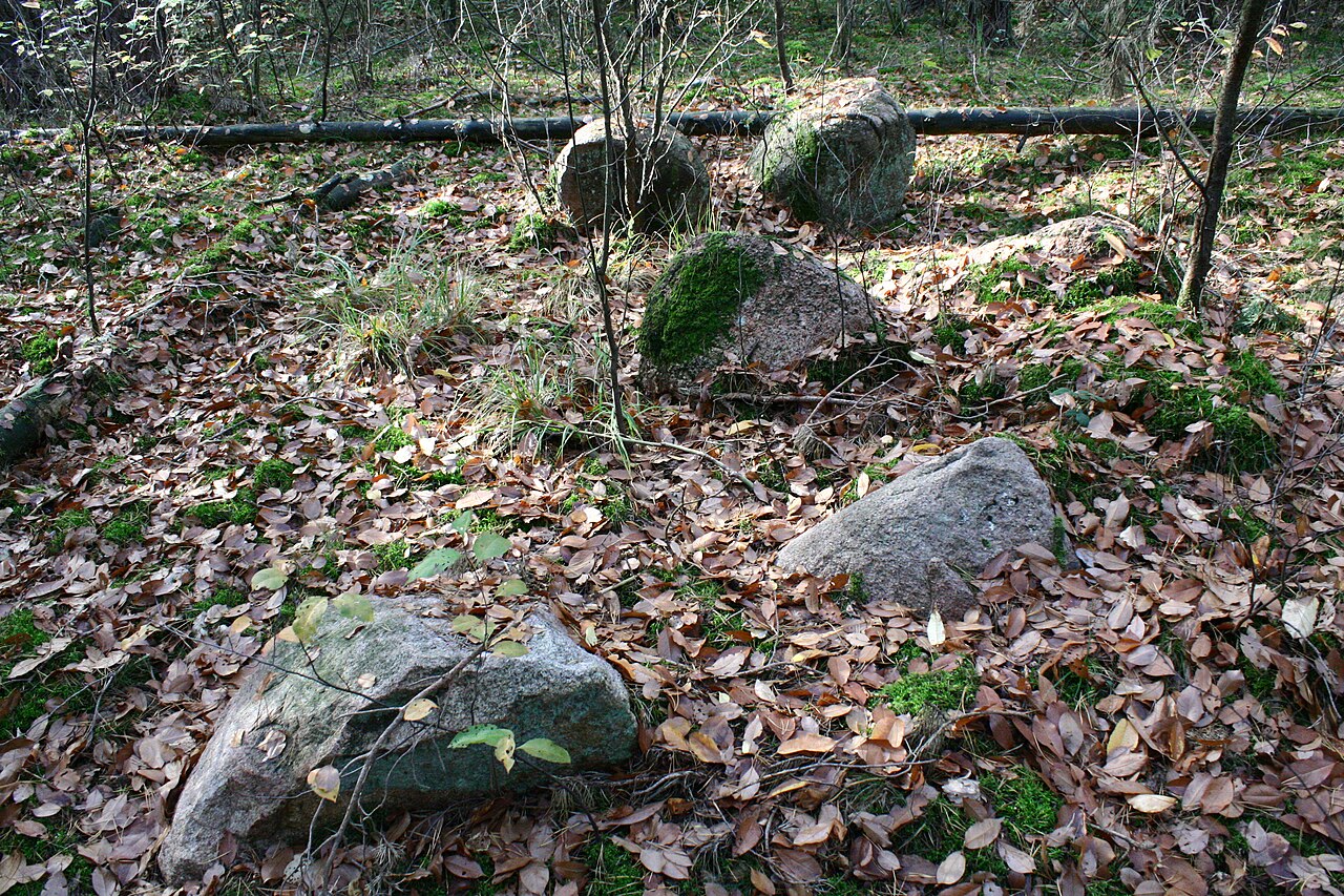 Megalithic tomb Haldensleben II 26