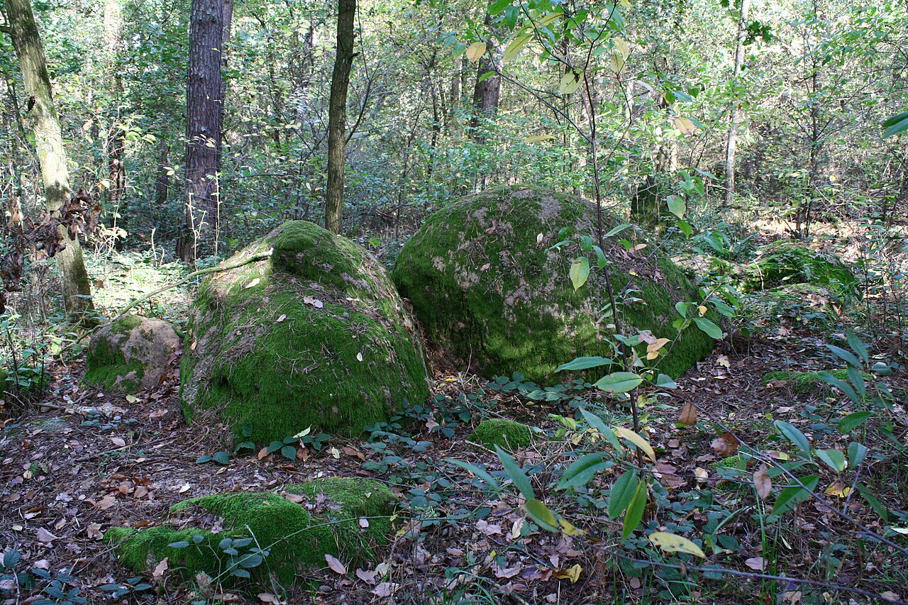 Megalithic tomb Haldensleben II 27
