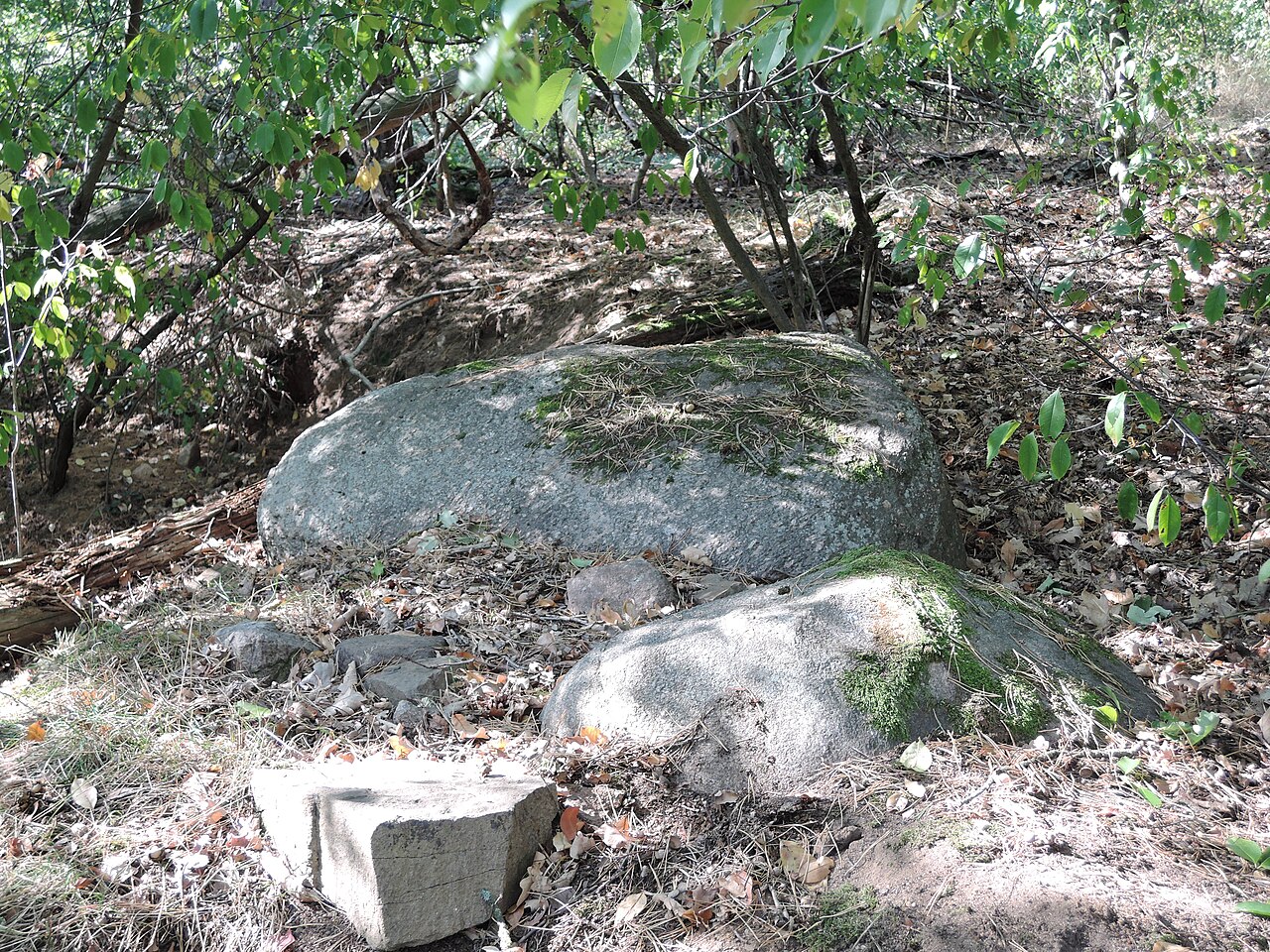 The megalithic tomb AHA 34 near Althaldensleben in Germany
