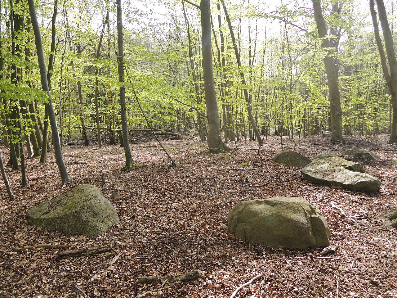 The megalithic tomb Alt Stassow 1