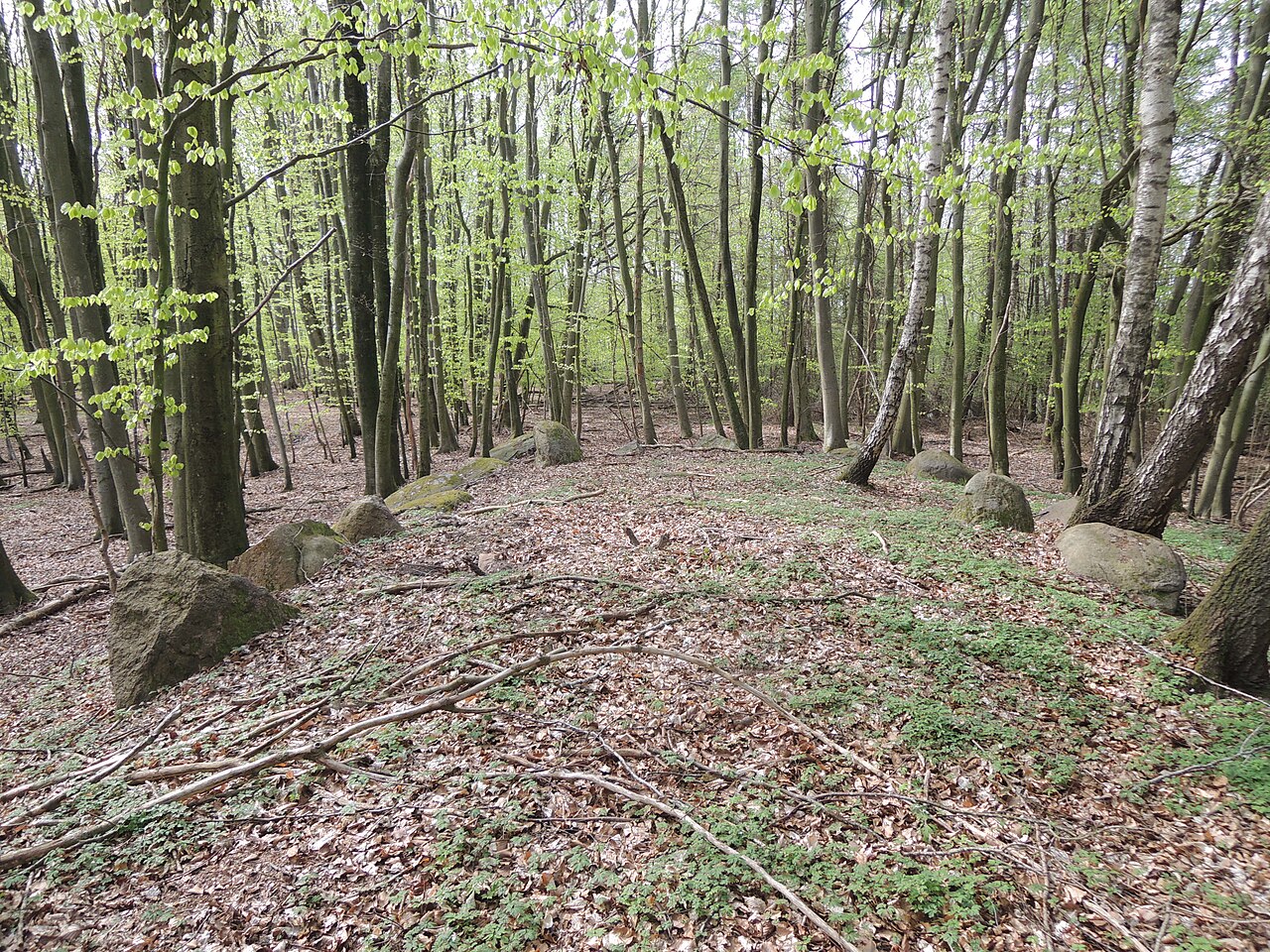 The megalithic tomb Alt Stassow 2