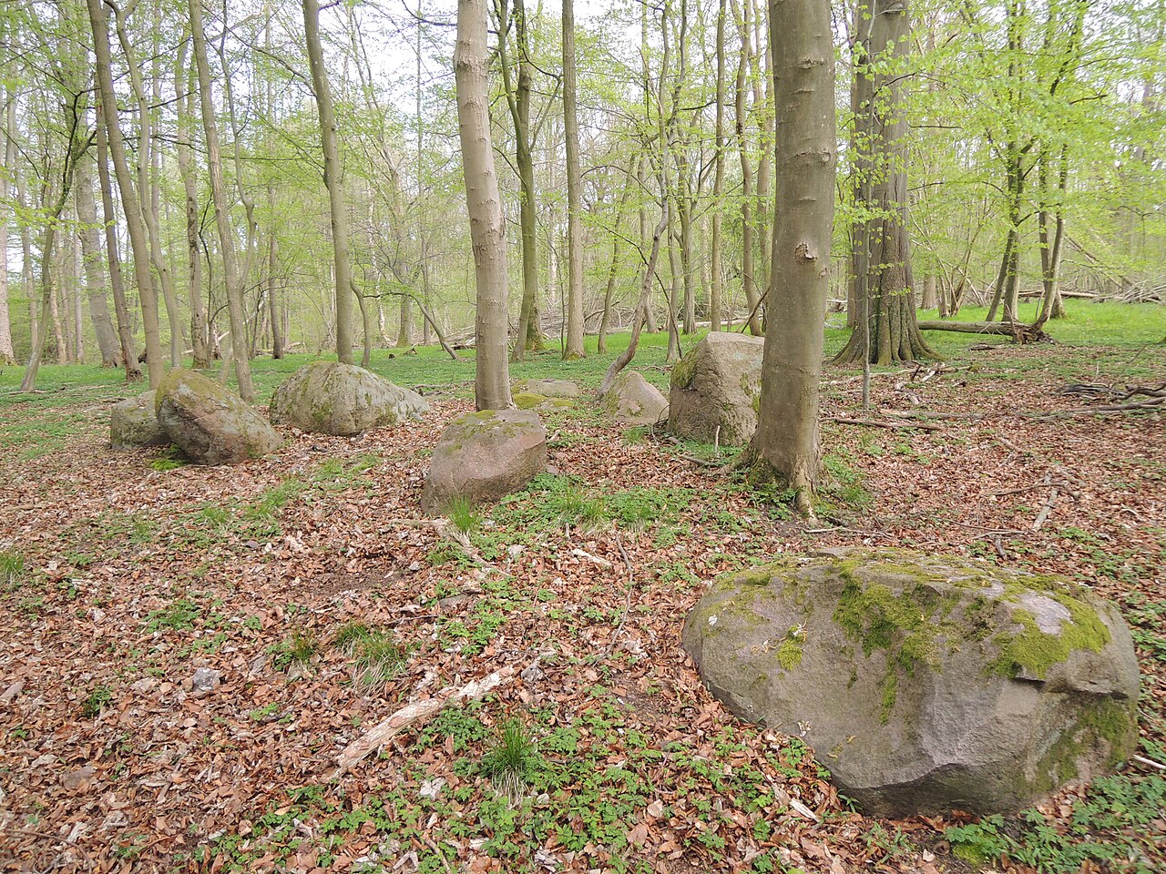 The megalithic tomb Alt Stassow 3