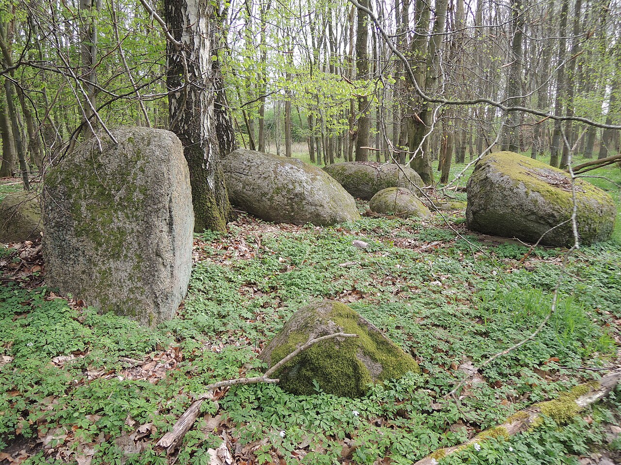 The megalithic tomb Alt Stassow 4 in Germany
