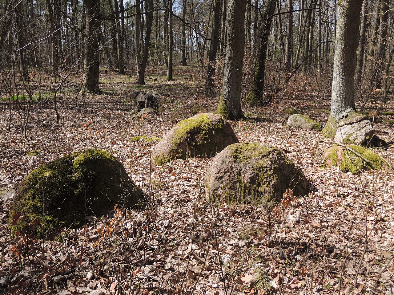 The megalithic tomb ALV 15