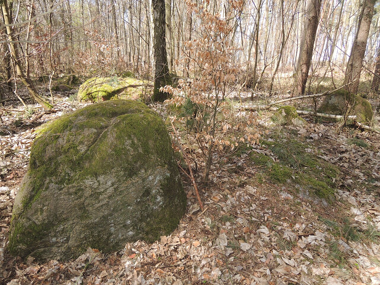 The megalithic tomb ALV 16