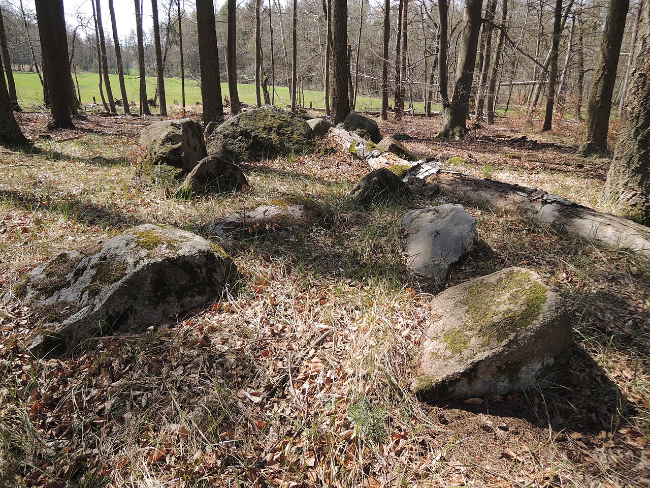 The megalithic tomb ALV 17 in Haldensleber Forst