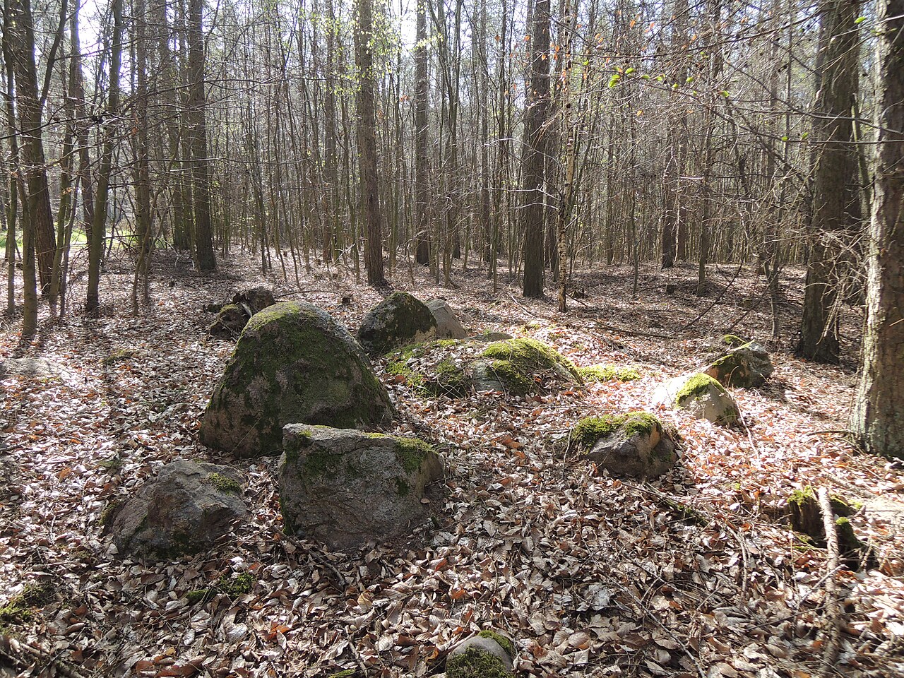 The megalthic tomb ALV 18 in Haldensleber Forst