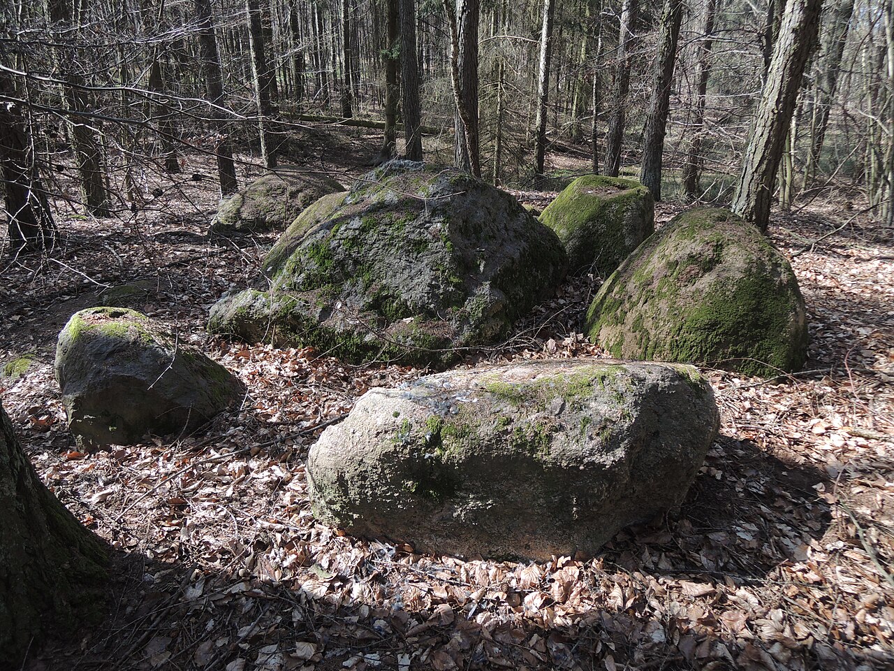 The megalithic tomb ALV 19 in Haldensleber Forst