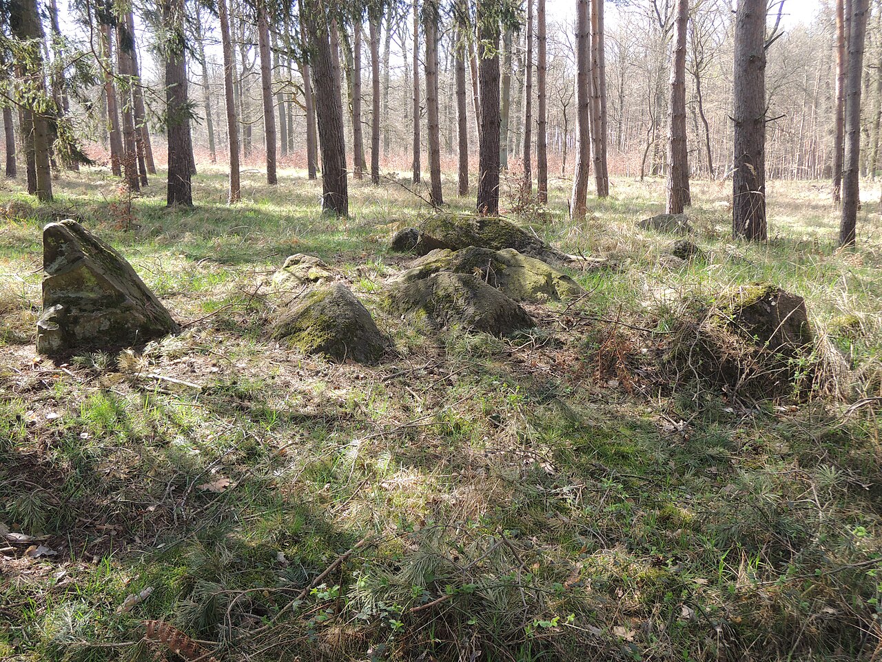 The megalithic tomb ALV 20 in Haldensleber Forst