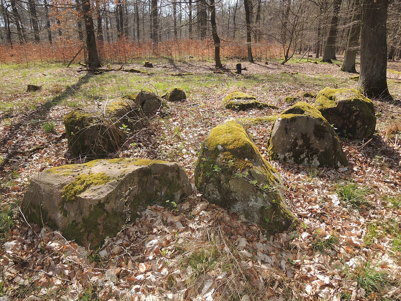 The megalithic tomb ALV 22 in Haldensleber Forst