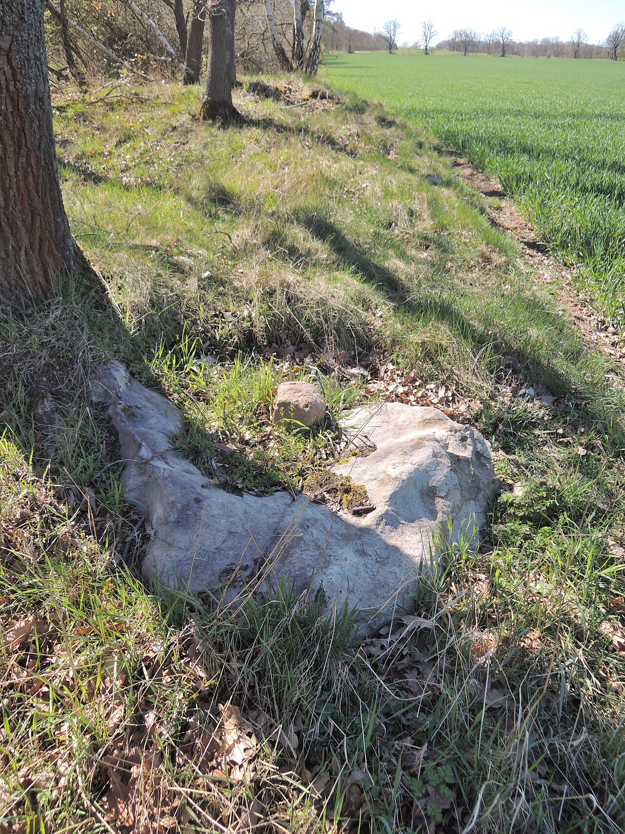 Remains of the megalithic tomb ALV 24