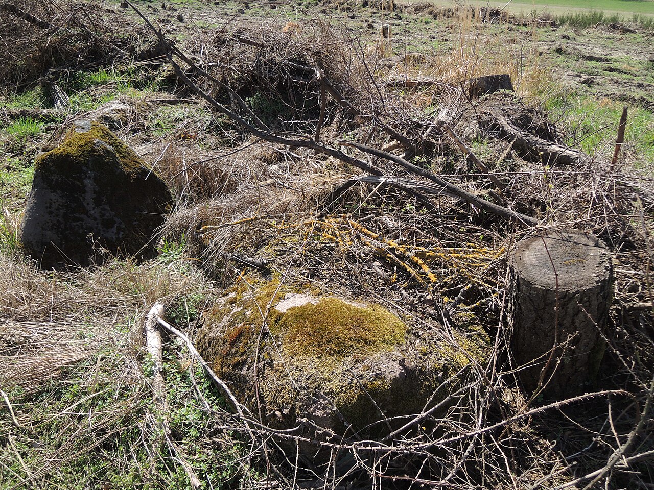 The megalithic tomb ALV 26 in Haldensleber Forst