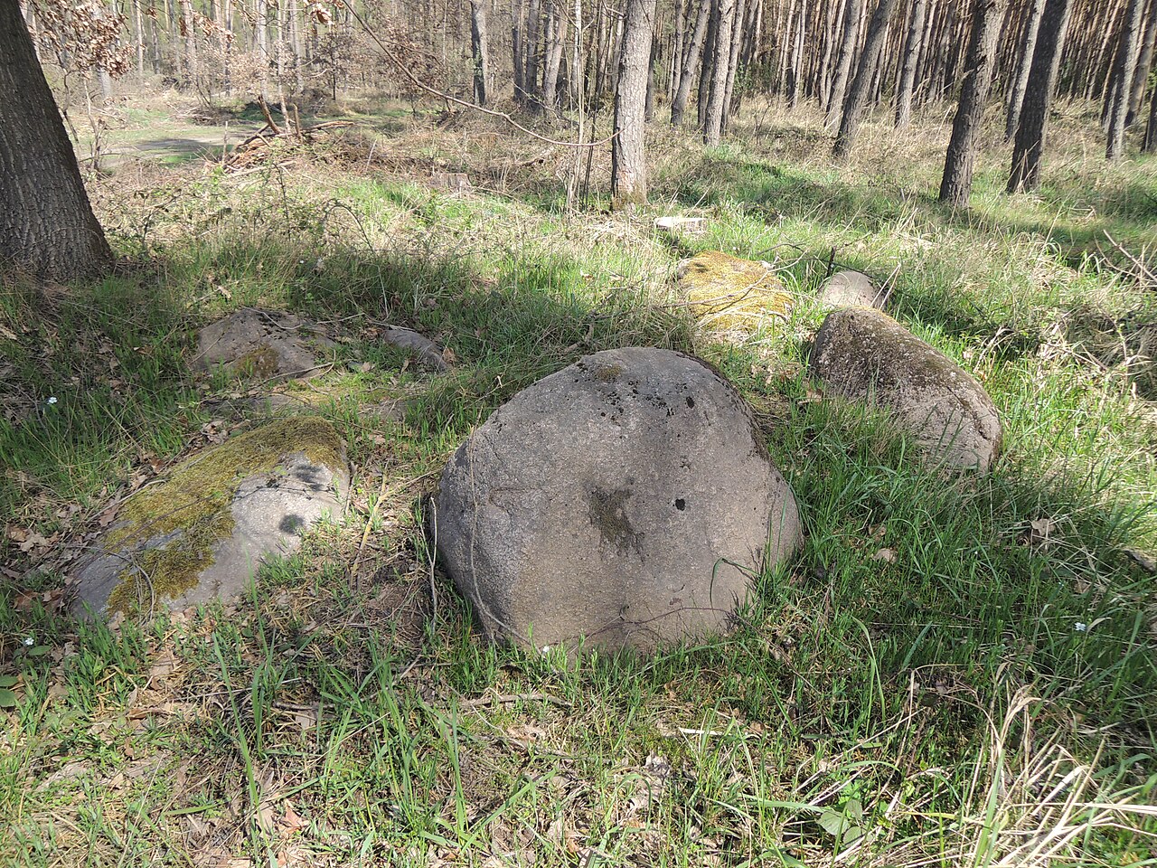 The megalithic tomb ALV 28 in Haldensleber Forst