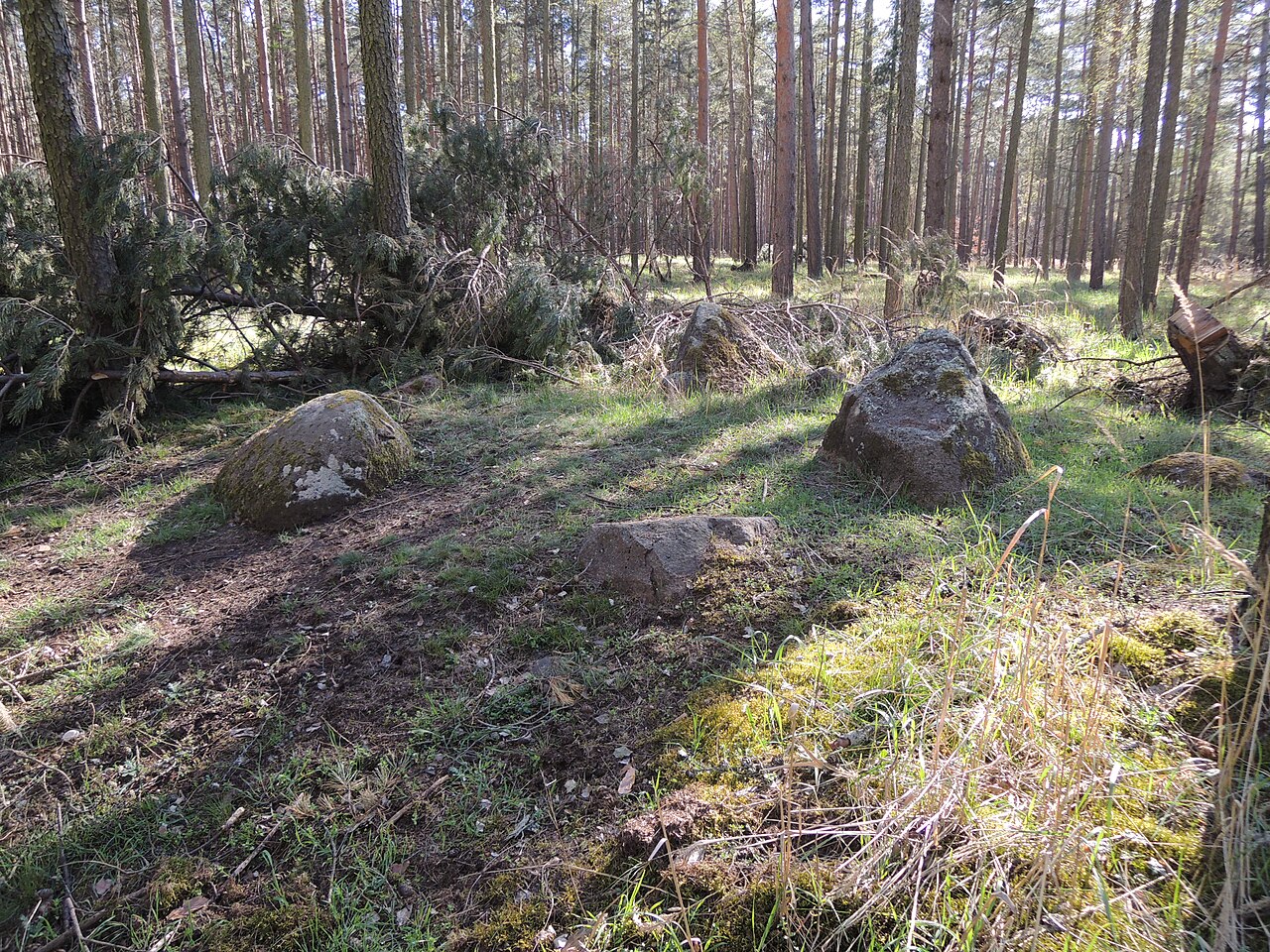The megalithic tomb ALV 29