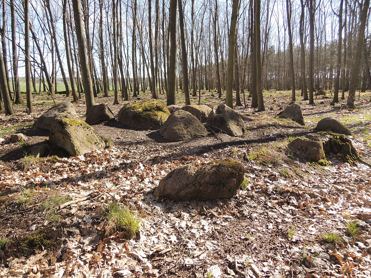 The megalithic tomb ALV 31