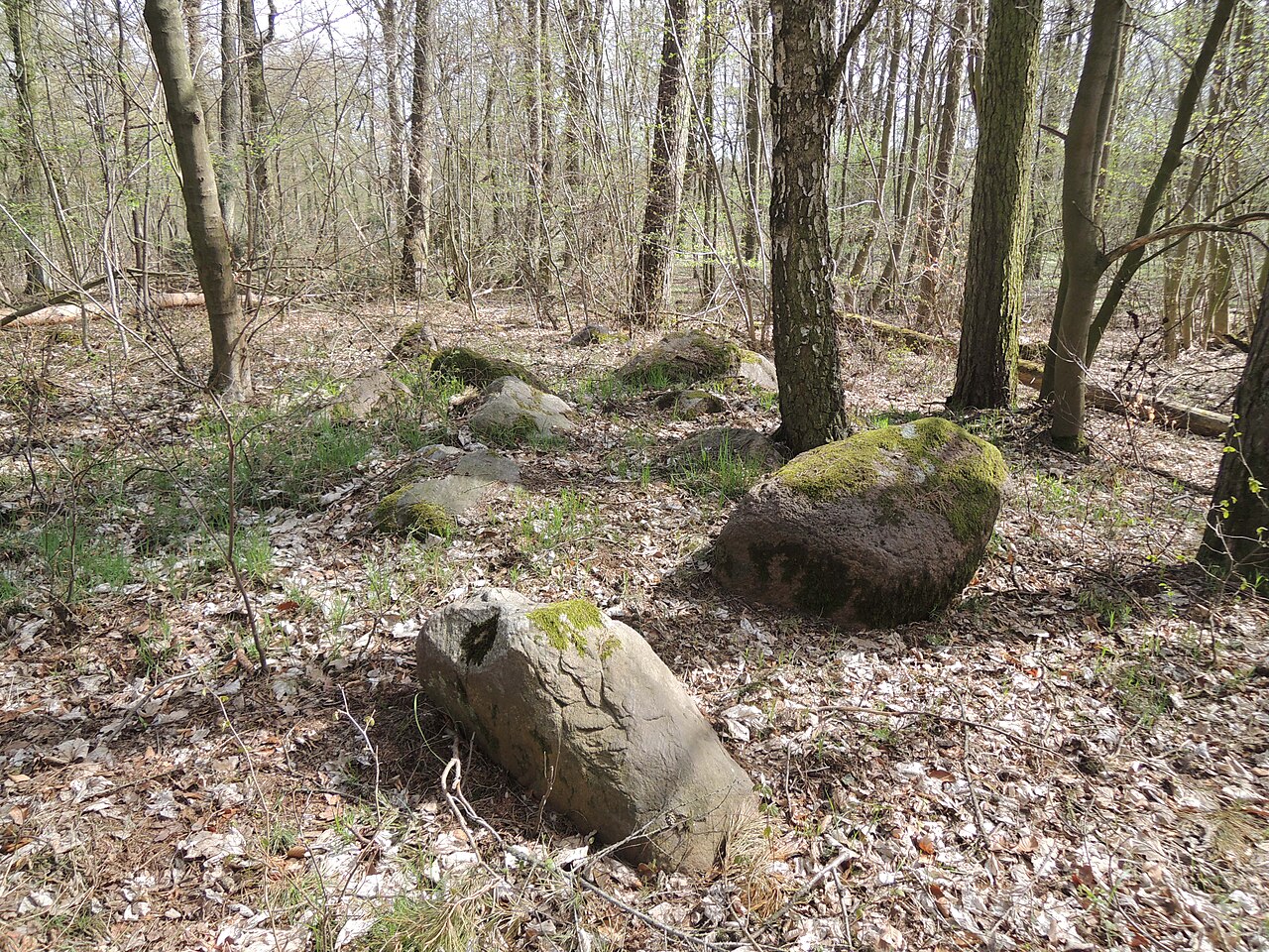 The megalithic tomb ALV 35