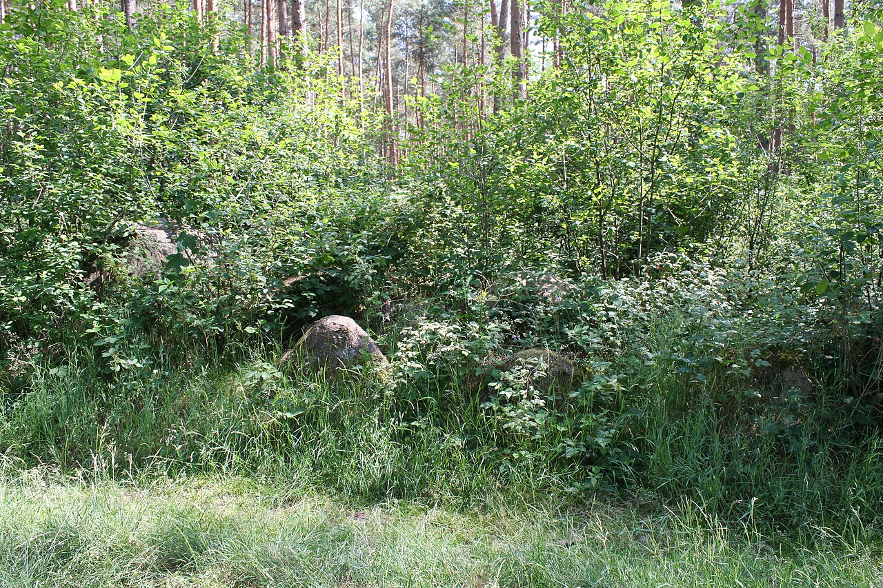 Megalithic tomb Bebertal I 3