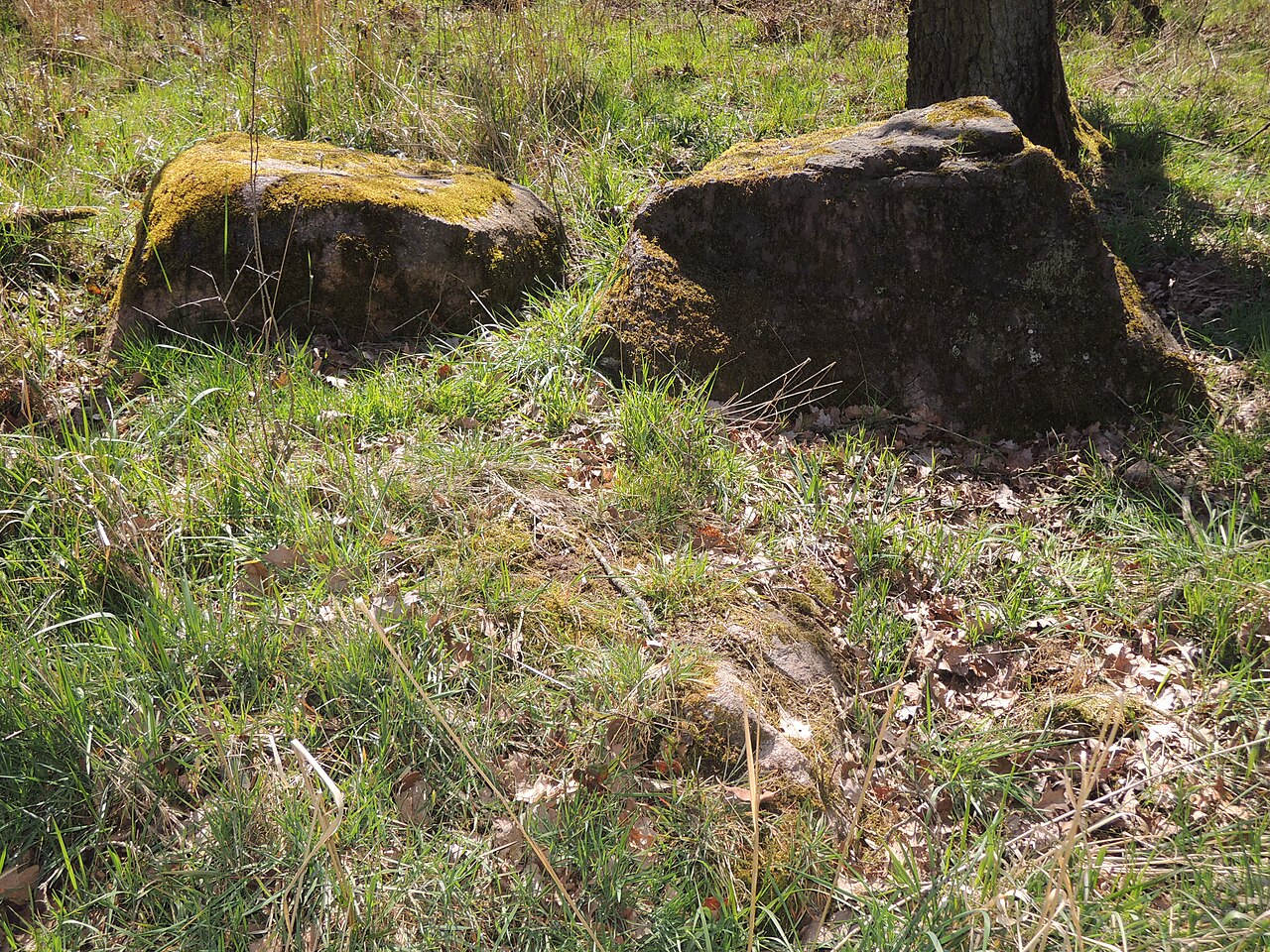 Remains of the megalithic tomb ALV 41