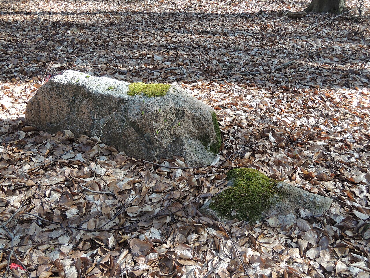 Remains of the megalithic tomb ALV 46
