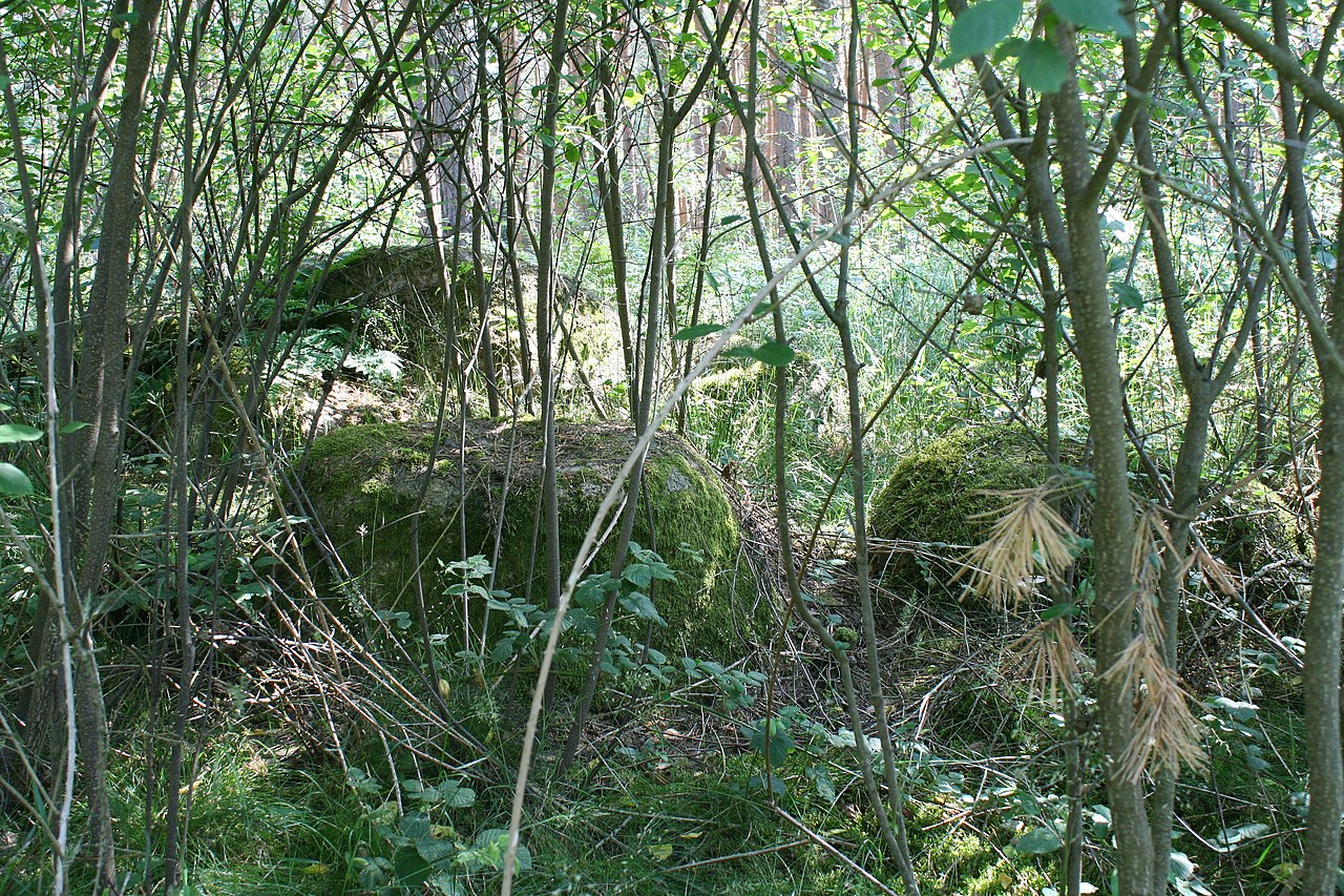 Megalithic tomb Bebertal I 4