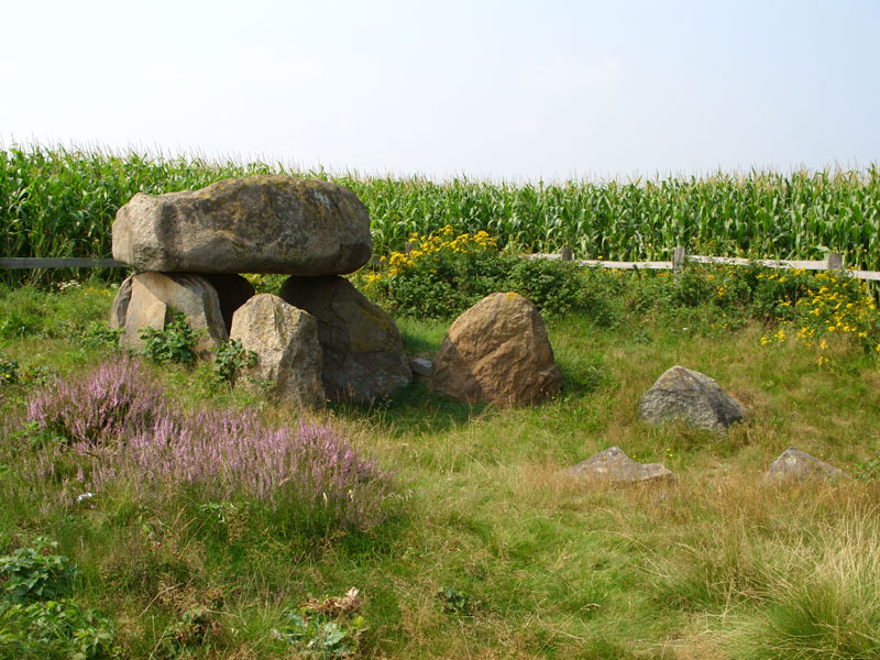 Großsteingrab Badenstedt