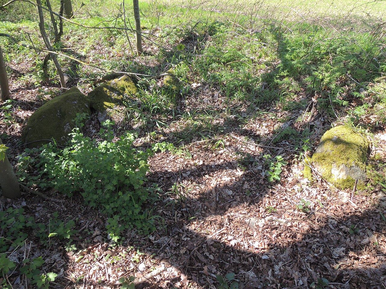 The megalithic tomb Barkvieren 1 in Germany