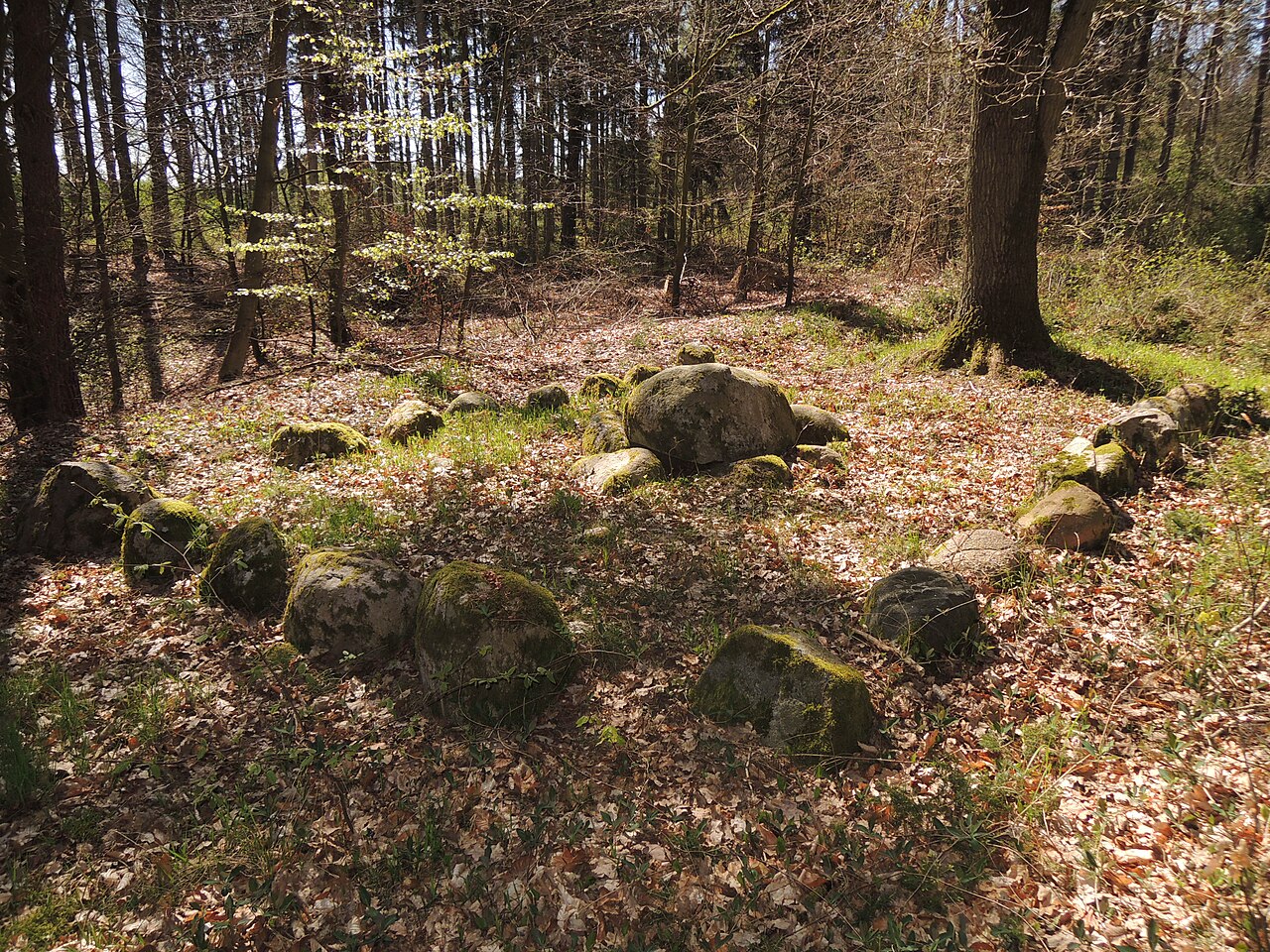 The megalithic tomb Barkvieren 3 in Germany