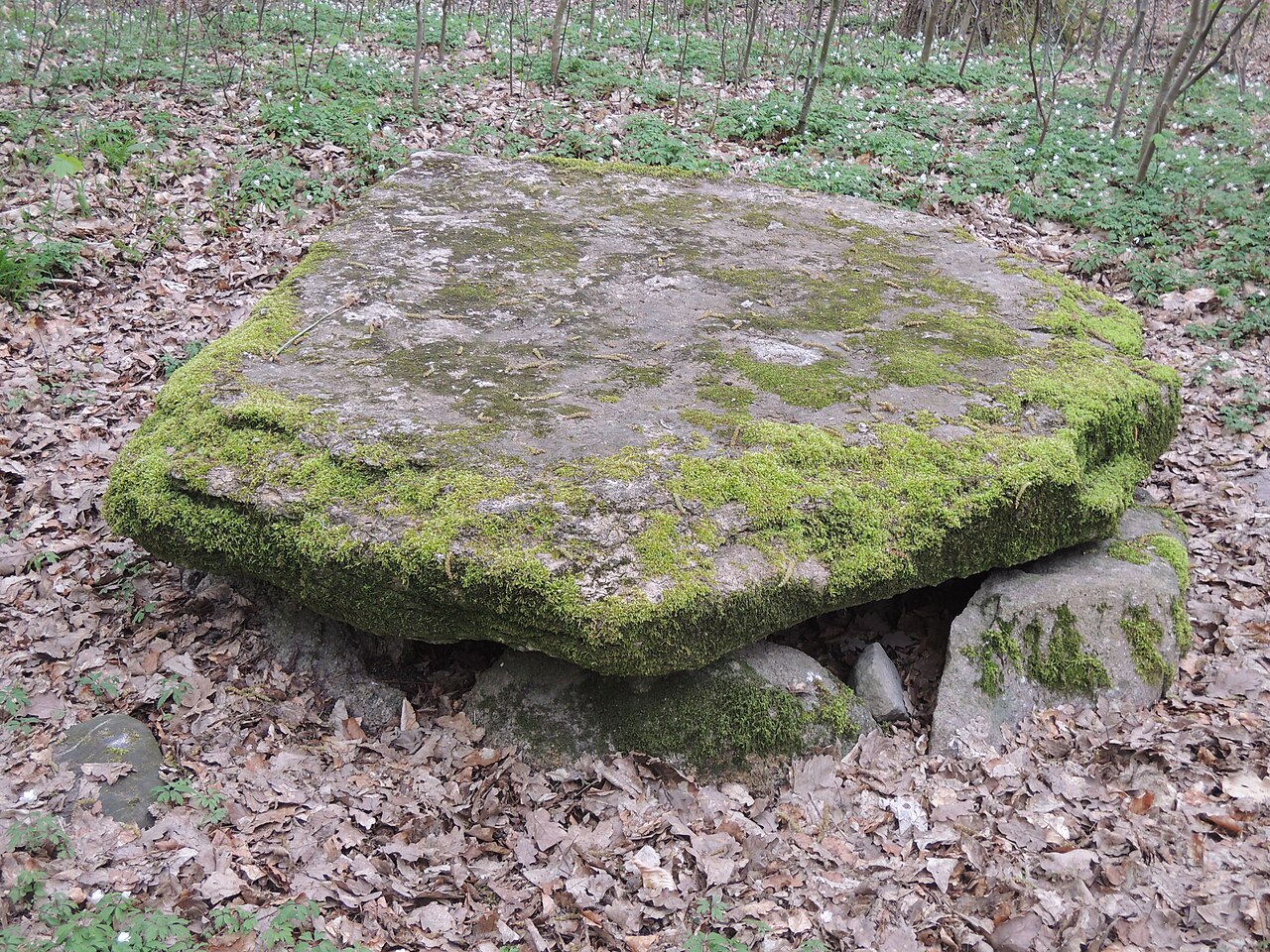 The megalithic tomb Basedow 3, Sprockhoff-Nr