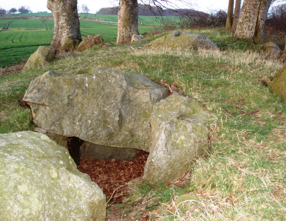 Langbetten bei Birkenmoor - West - Grabkammer 8 Sprockhoff-Nr 125