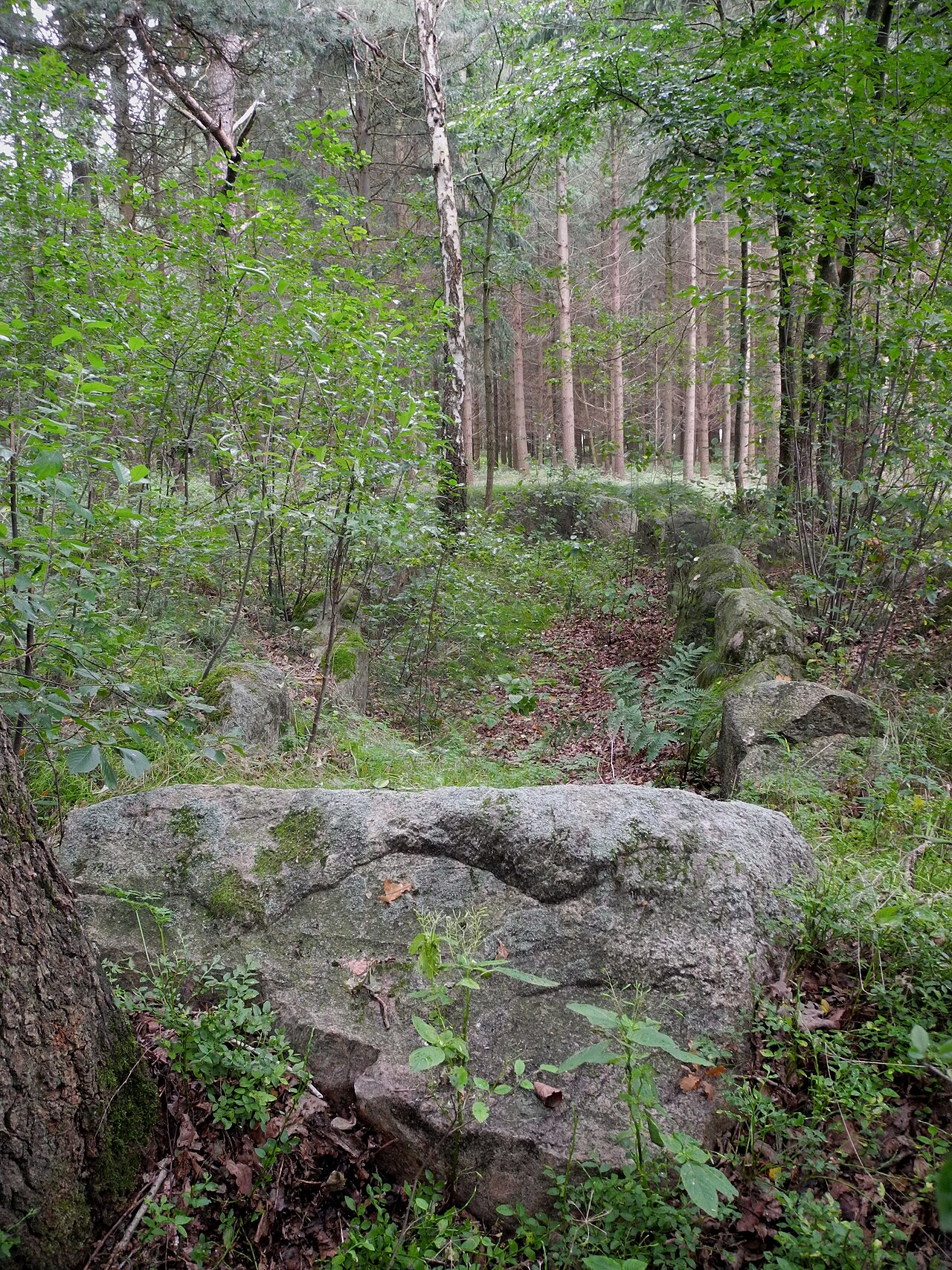 Megalithic grave "Bockraden" (district Osnabrück, Lower Saxony, Germany)