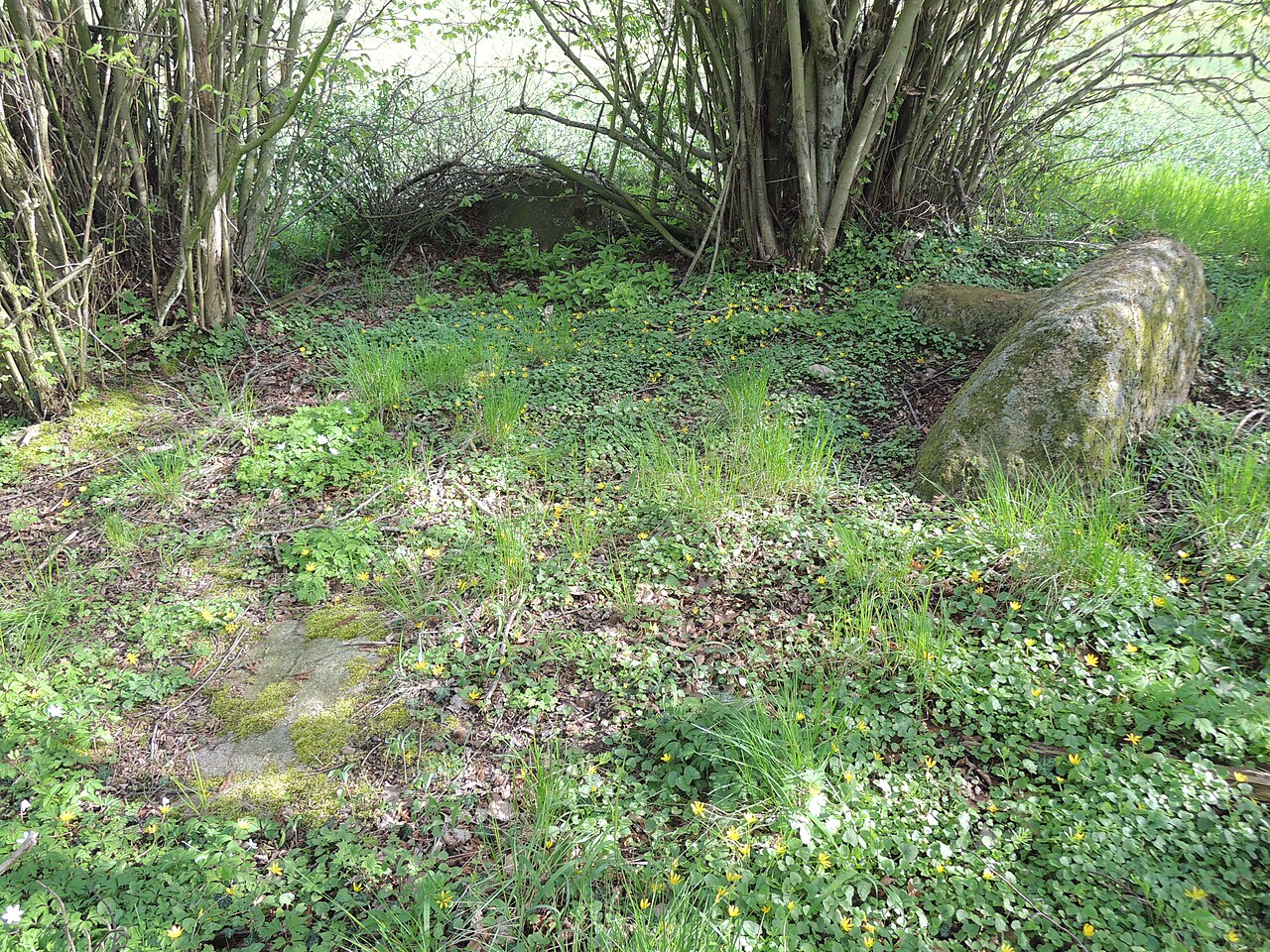 The megalithic tomb Cammin 1