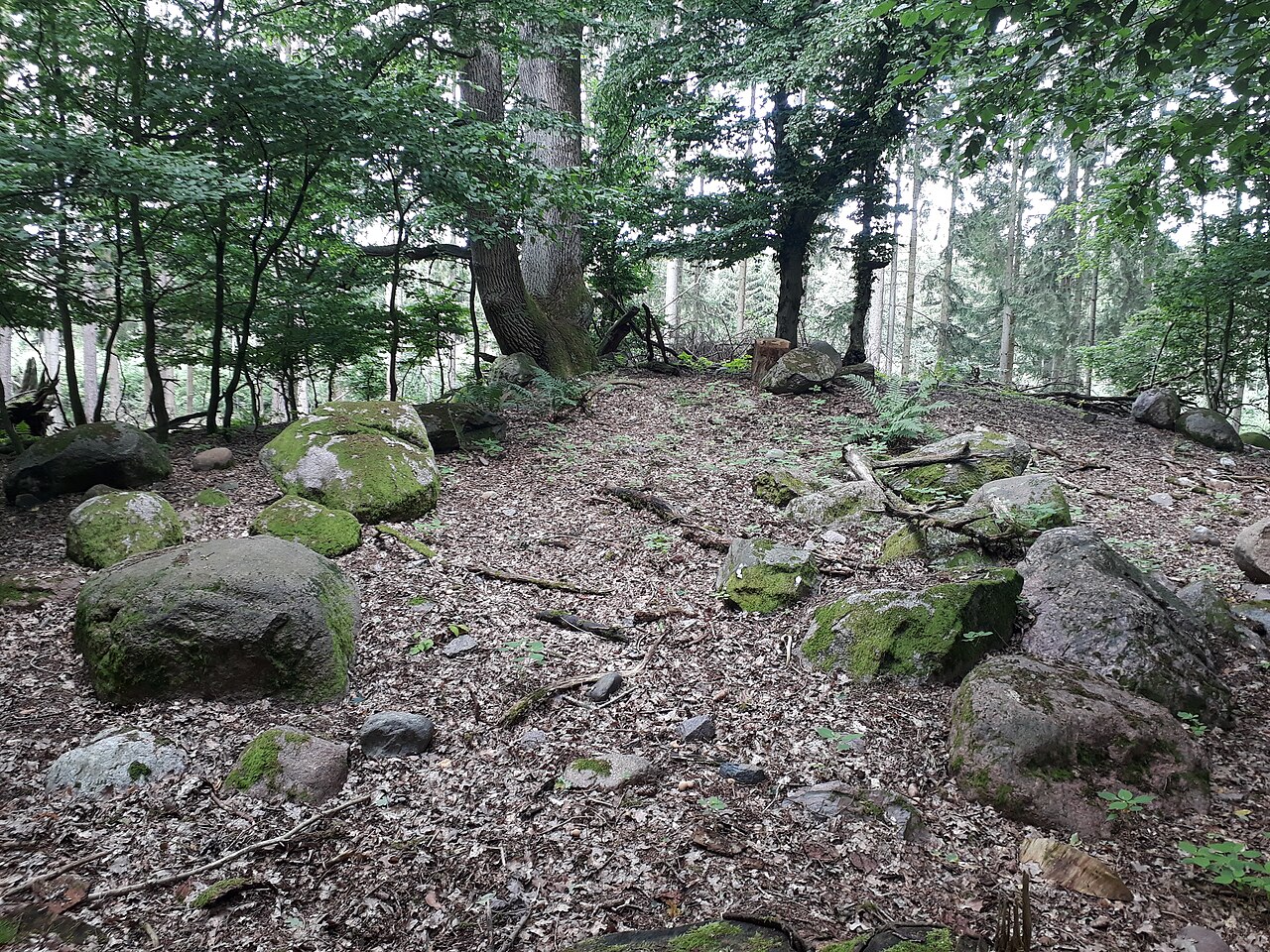 The megalithic tomb Darze 1 in Germany