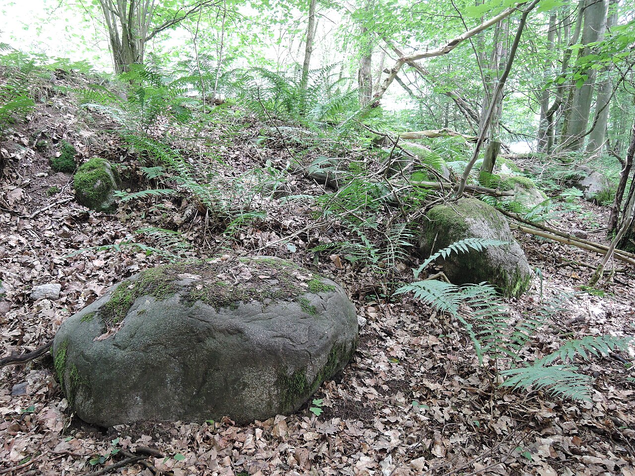 The megalithic tomb Darze 3 in Germany