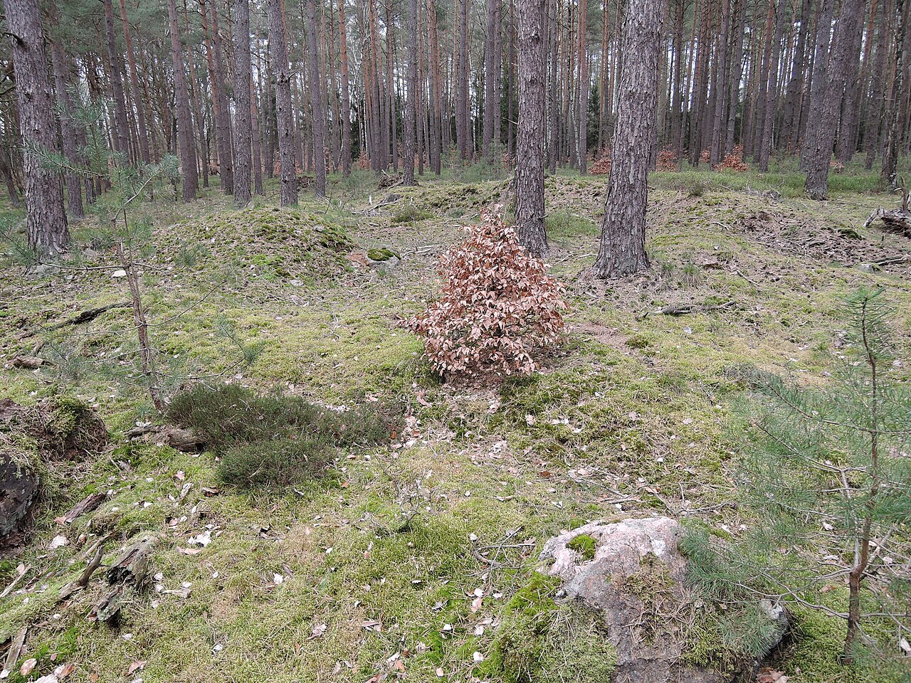 The megalithic tomb of Dickfeitzen