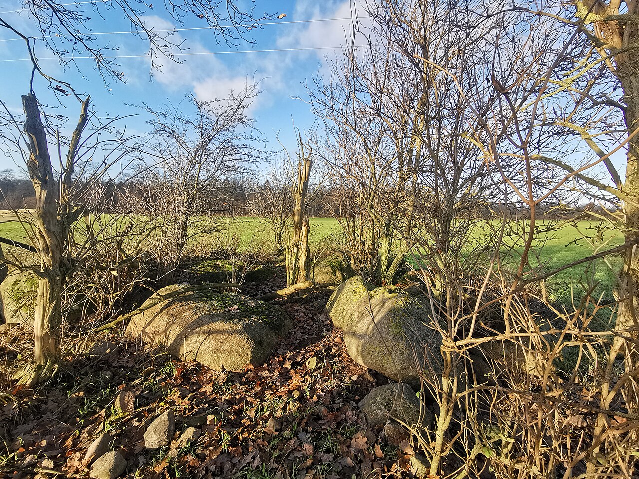 Überreste des Großsteingrabs Diekhof, Blick in Richtung Nordwest