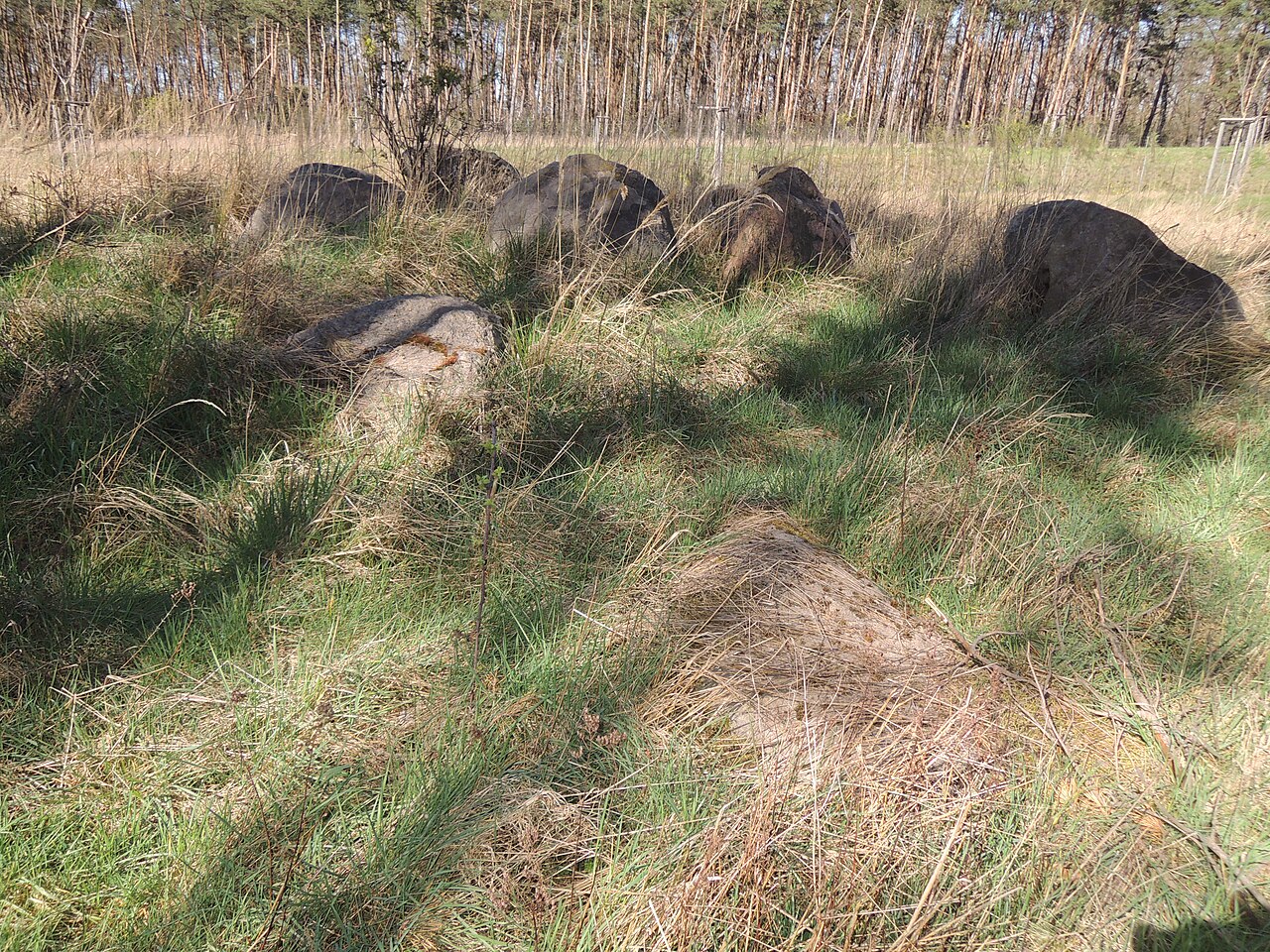 The megalithic tomb DÖN 11